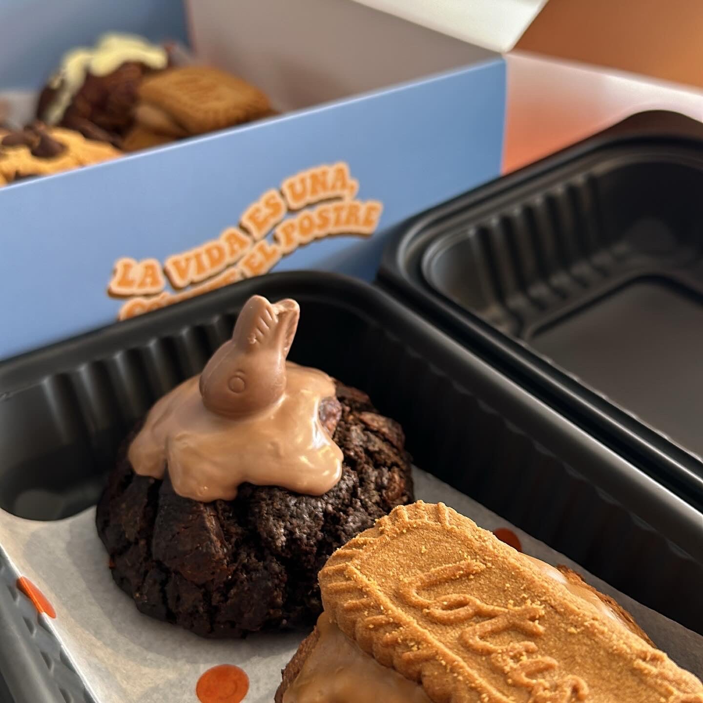 Caja de galletas mixtas